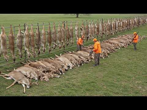 The U.S. Mega Hunt - Hunters Take Down Thousands of Invasive Animals Every Minute thumbnail