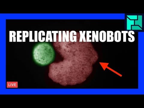 🔴 Should you worry about self-replicating XENOBOTS? | [OFFICE HOURS] Podcast 076 thumbnail
