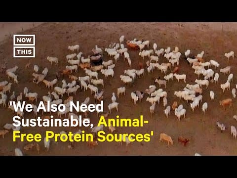 How Meat Production Contributes to Climate Change thumbnail