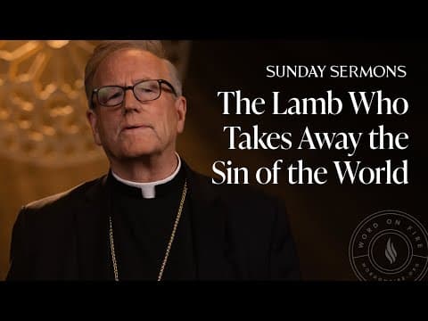 The Lamb Who Takes Away the Sin of the World - Bishop Barron’s Sunday Sermon thumbnail