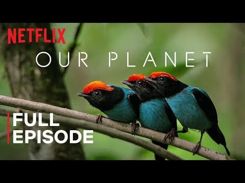 Our Planet | One Planet | FULL EPISODE | Netflix thumbnail