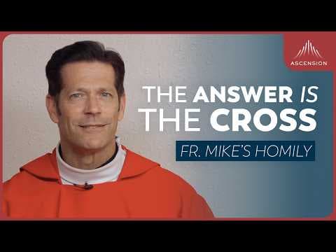"Words Fail" | Feast of the Exaltation of the Holy Cross (Fr. Mike's Homily) #sundayhomily thumbnail