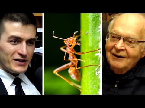 Donald Knuth: Ant Colonies and Human Cognition | AI Podcast Clips thumbnail