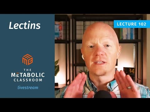 102: How Lectins Disrupt Insulin, Gut Health, and Immunity with Dr. Ben Bikman thumbnail