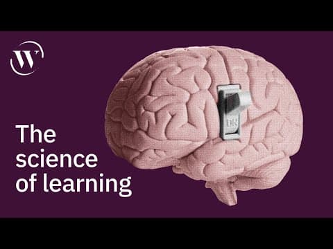 How Do Focus Mode and Diffuse Mode Enhance Learning? thumbnail