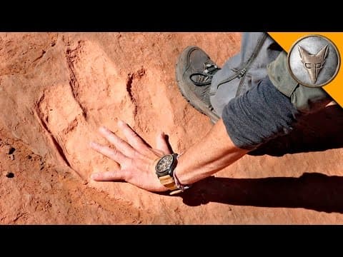 How to Find Dinosaur Tracks in Utah's Backcountry thumbnail