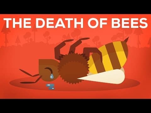 The Death Of Bees Explained – Parasites, Poison and Humans thumbnail