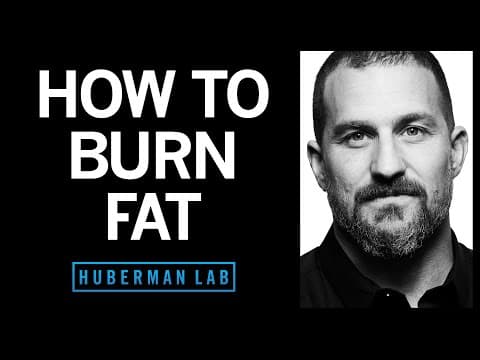 How to Lose Fat with Science-Based Tools thumbnail