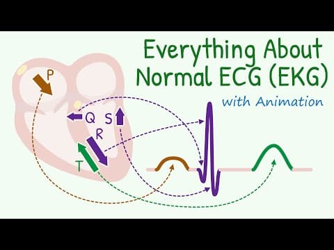 From Basics of 12 Lead ECG to How Waves are Produced: Everything about Normal Electrocardiogram thumbnail