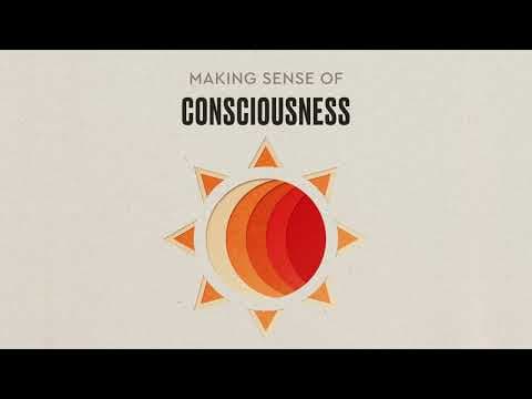Making Sense Of Consciousness thumbnail