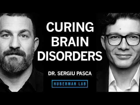 Curing Autism, Epilepsy & Schizophrenia with Stem Cells | Dr. Sergiu Pașca thumbnail