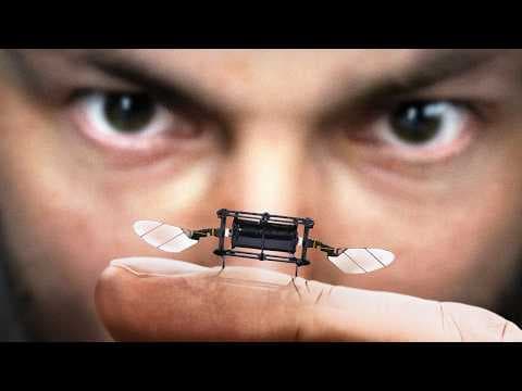 Why Is MIT Making Robot Insects? thumbnail
