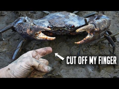 Can a Mudcrab cut off your finger? thumbnail
