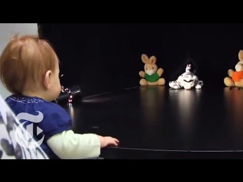 Magazine - Can Babies Tell Right From Wrong? | The New York Times thumbnail
