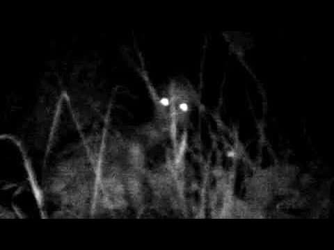 What Are the Scariest Videos You Should Never Google? thumbnail