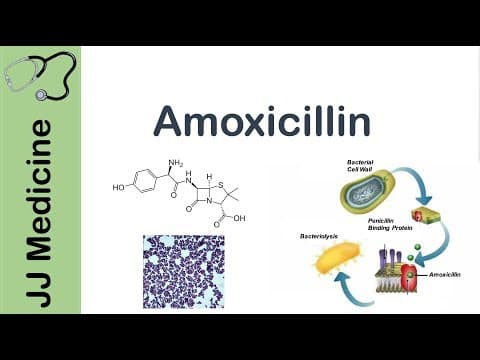 Amoxicillin | Bacterial Targets, Mechanism of Action, Adverse Effects | Antibiotic Lesson thumbnail