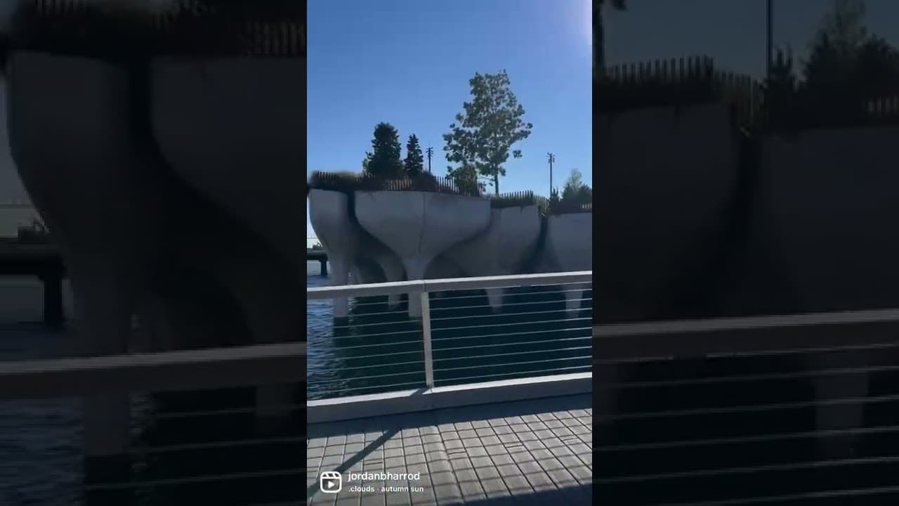 YouTube video player