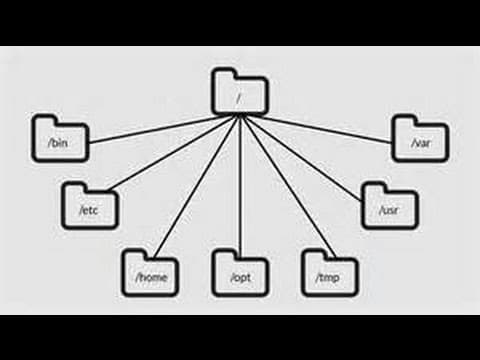 Learning the Linux File System thumbnail