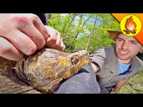 The BITE Heard Round the WORLD! thumbnail