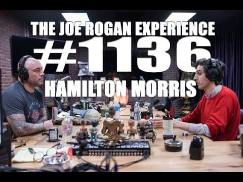 Joe Rogan Experience #1136 - Hamilton Morris thumbnail