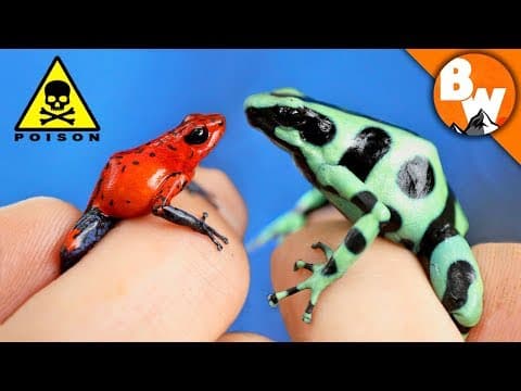 Which Poison Frog Is the Most Toxic to Humans? thumbnail