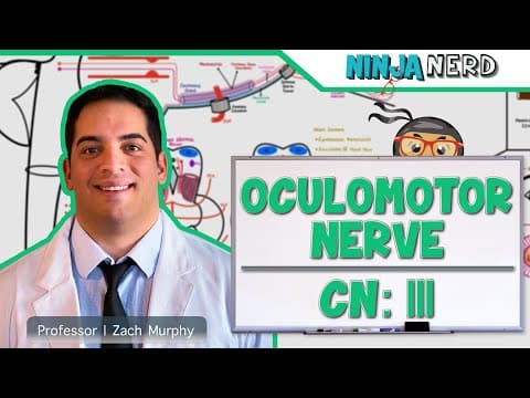Neurology | Oculomotor Nerve: Cranial Nerve III thumbnail