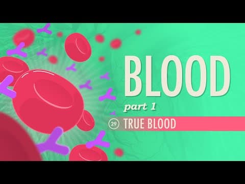 Blood, Part 1 - True Blood: Crash Course Anatomy & Physiology #29 thumbnail
