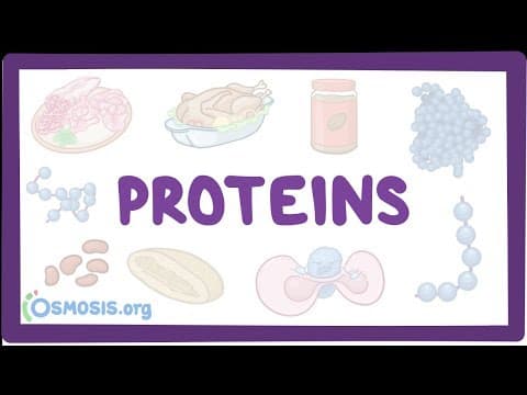 Proteins thumbnail