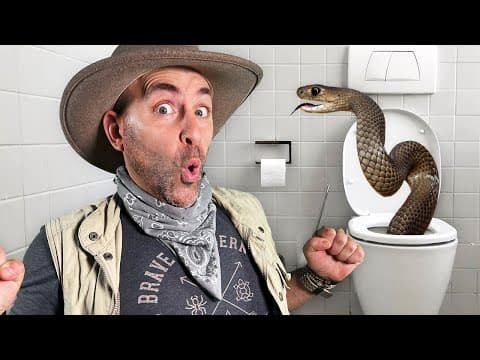 What Should You Do If You Find a Snake in Your Toilet? thumbnail