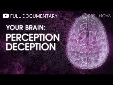 Your Brain: Perception Deception | Full Documentary | NOVA | PBS thumbnail