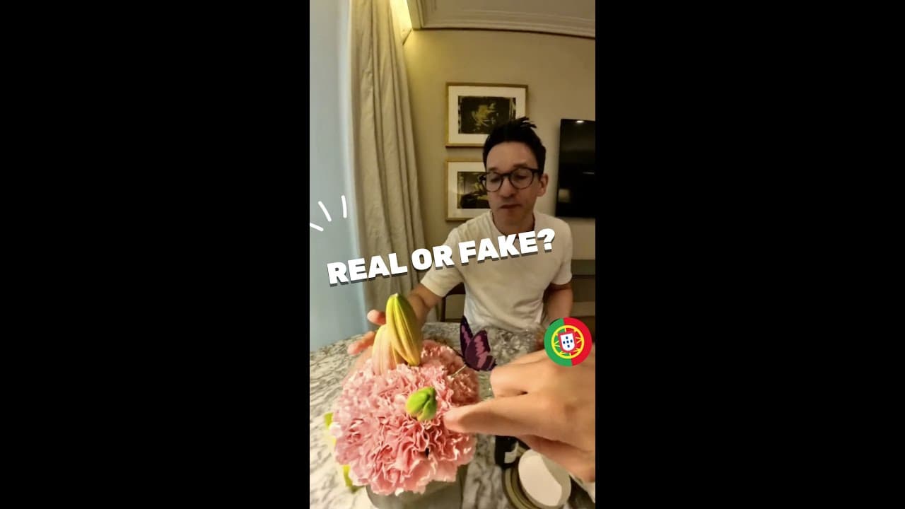 YouTube video player