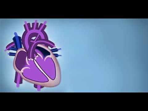 What Is Fetal Circulation and Its Postnatal Transition? thumbnail