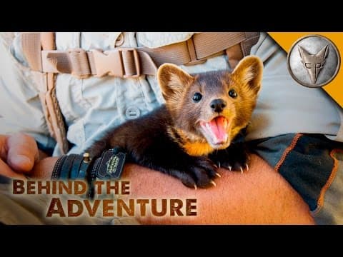 Can Coyote Peterson Still Climb Trees Like a Cat? thumbnail