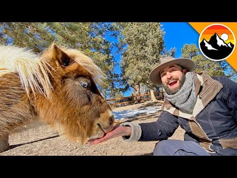 How to Take Care of a MINIATURE PONY! thumbnail