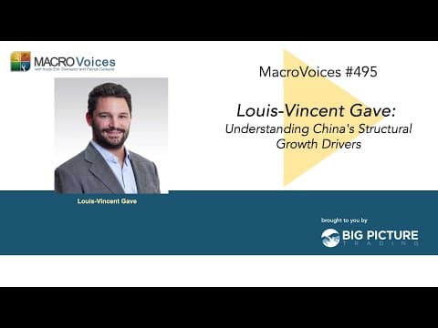 MacroVoices #495 Louis-Vincent Gave: Understanding China's Structural Growth Drivers thumbnail