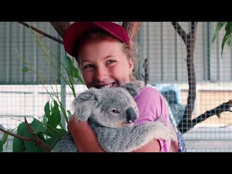 Top 15 Most Unusual Pets Kids Actually Own thumbnail