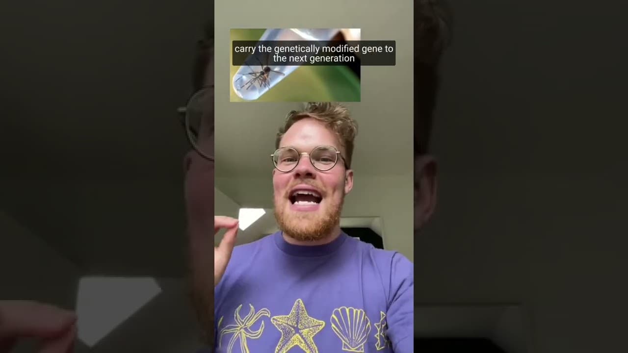 YouTube video player