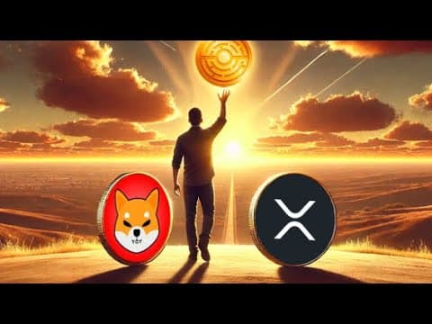 IN PRAYER I HEARD THIS ABOUT SHIBA INU! "THE POWER OF FAITH"! PRAYER DECREE'S! thumbnail