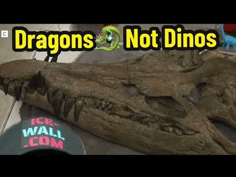 Dragons not Dino’s thumbnail