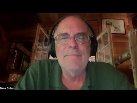 SIGNAL/NOISE PROBLEM- Dave Collum thumbnail