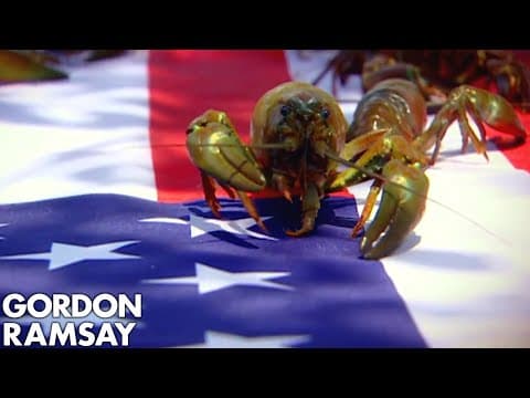 Gordon Ramsay Shows How To Catch & Cook Crayfish thumbnail