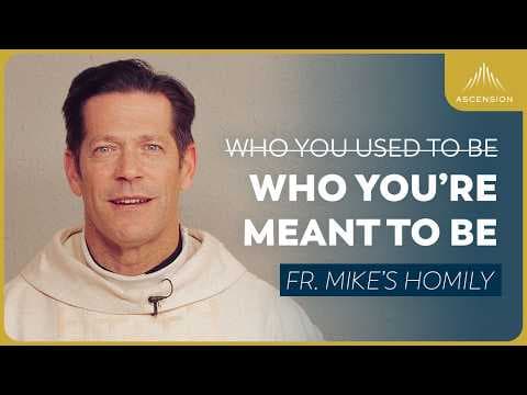 "Meant to Be" | Feast of the Dedication of the Lateran Basilica (Fr. Mike's Homily) #sundayhomily thumbnail