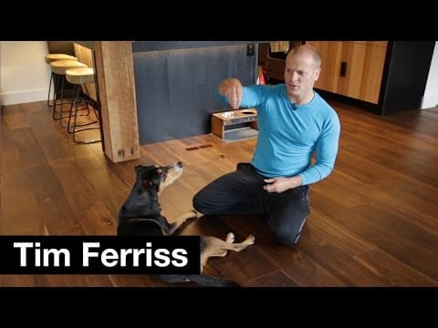 Dog tricks: command, safety, and vanity | Tim Ferriss thumbnail