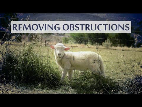 An AI Learned To See Through Obstructions! 👀 thumbnail