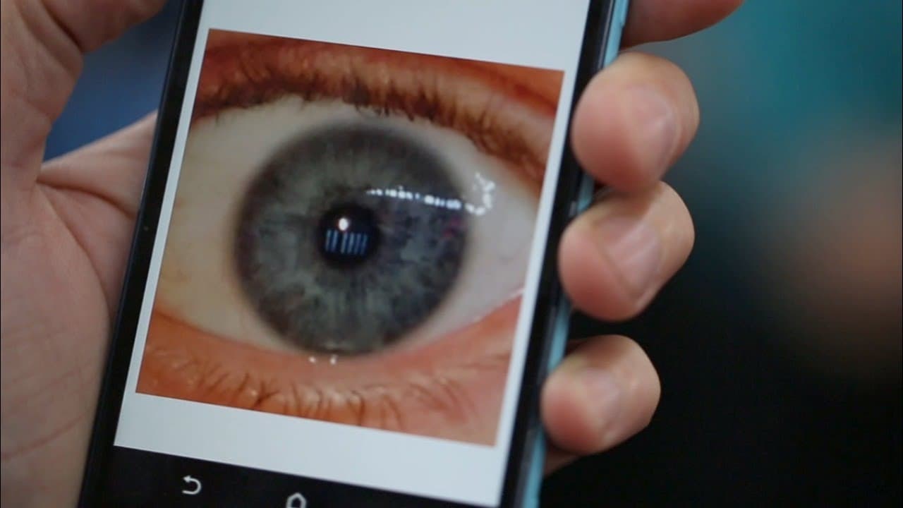 YouTube video player