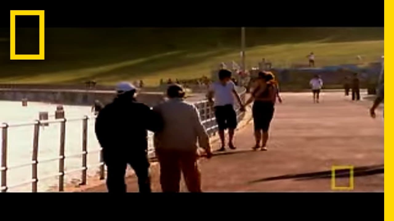 YouTube video player