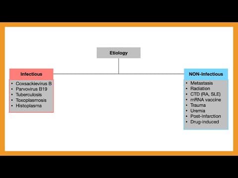 Pericarditis (Acute vs. Chronic vs. Constrictive vs. Effusive) thumbnail