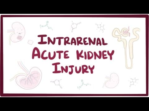 Intrarenal acute kidney injury (acute renal failure) - causes, symptoms & pathology thumbnail