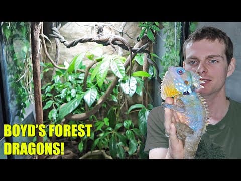 Making A RAINFOREST For Real Life DRAGONS! thumbnail