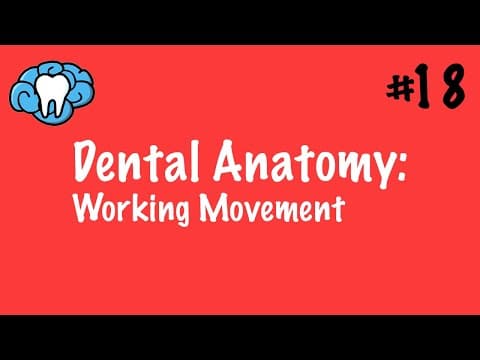 Dental Anatomy | Working Movement | INBDE thumbnail